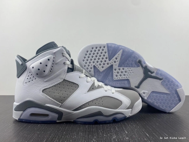 Jordan 6 Grey CT8529-100 Air Cool 0721